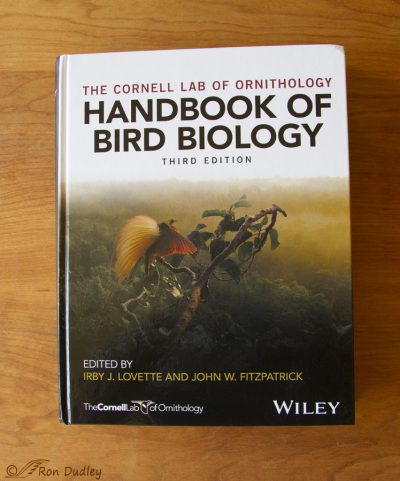 Cornell’s “Handbook Of Bird Biology” 3rd Edition Finally Published ...