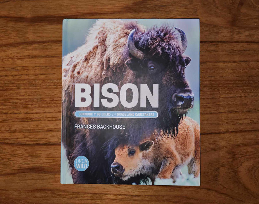 complementary-copy-of-bison-book