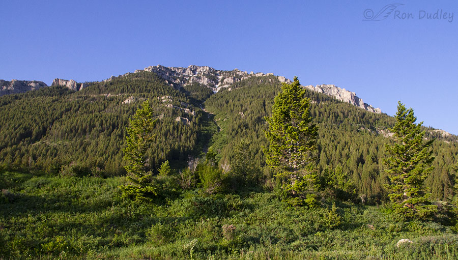 centennial-mountain-view-2515-ron-dudley