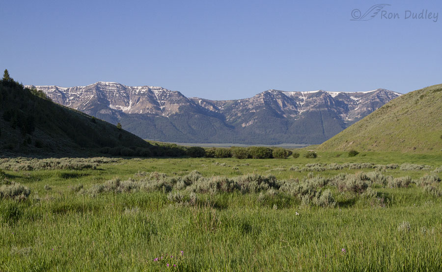 centennial-mountains-from-elk-lake-flats-2516-ron-dudley