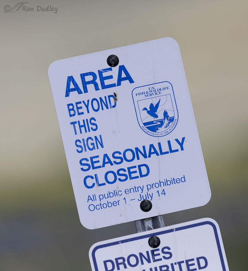 incorrect-closed-sign-7845-ron-dudley