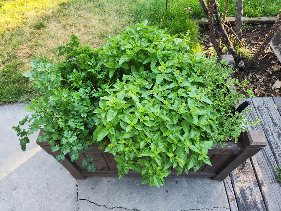 kitchen-herb-planter