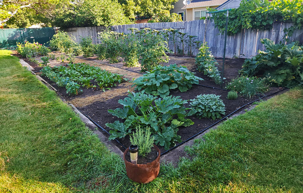 vegetable-garden-2-without-labels