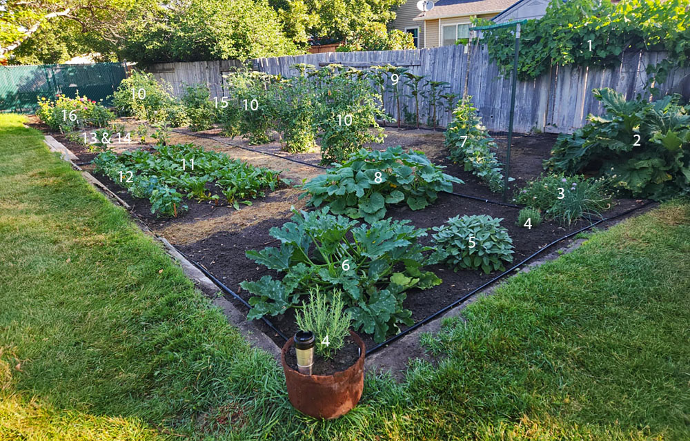 vegetable-garden-2