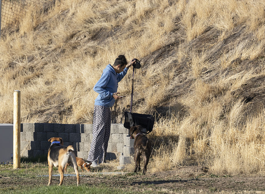 a-guy-and-his-dogs2-5445-ron-dudley